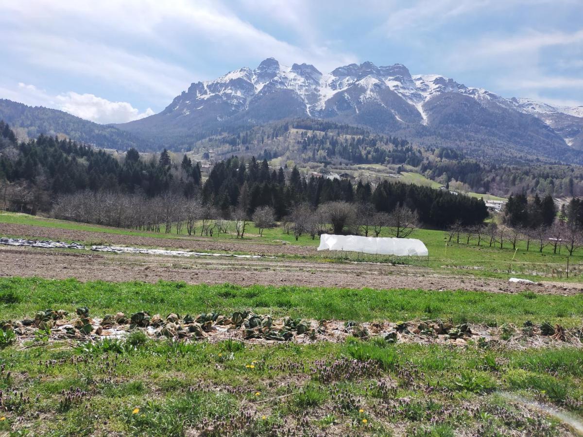 Agritur Maso Flonkeri Bed & Breakfast Bosentino Екстериор снимка